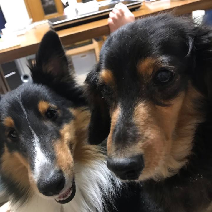 D0334814 17d3 42e3 b8a9 2129a805af13 1545257525508