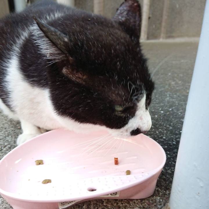 D03350b7 fe08 4700 9049 20072bd7df1b 1630141170736