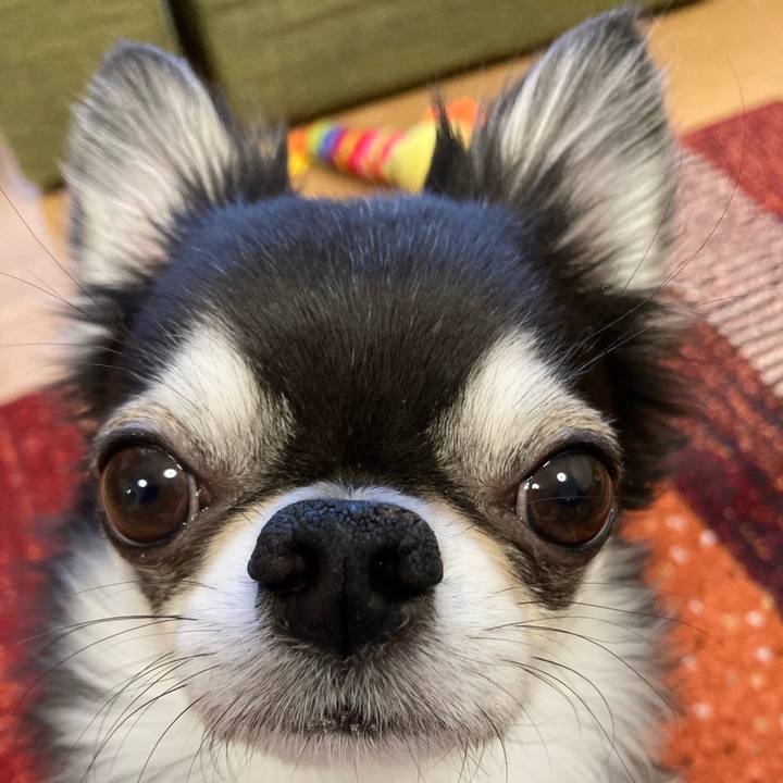 D0335b42 2c13 4a50 b5aa 01c937c801ba 1674947886475