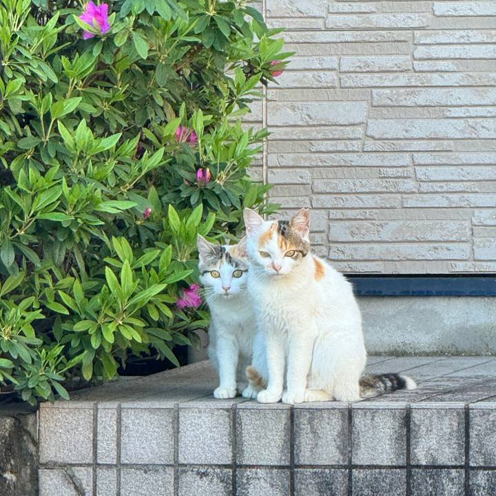 D033b2cc 2f3e 4767 9c47 12f6ddc85a43 1714011666581