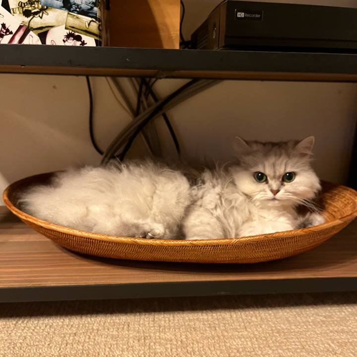 D034447f 91dc 4308 a279 2910f8aae0bb 1653528237380