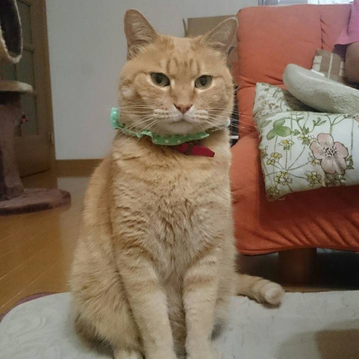 D0345263 5502 40df 992b ecc39d145712 1523275852522