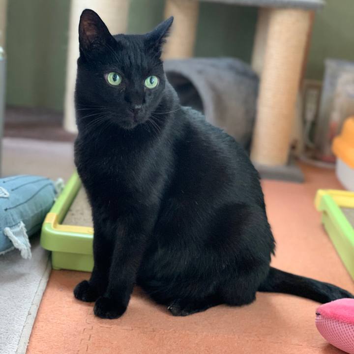 D034a006 05da 4e29 b90b f10304749a95 1573521498846