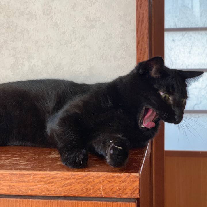 D034a710 2a0d 46e4 a619 7d9dd8bf3928 1567991839380