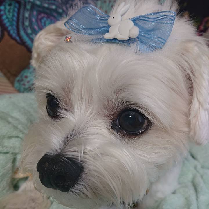 D034adf1 dbe3 48b9 a975 9ed2952113d7 1598342030227