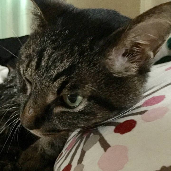 D034b46b faec 43a5 aa19 0a08e1b6a069 1534400974782