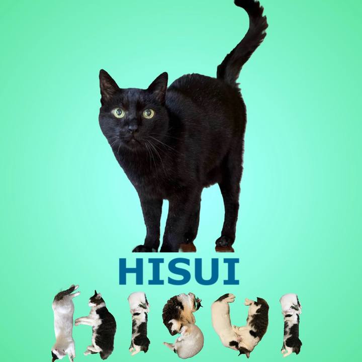 D034d9dc 5c24 44cf b3ad e319fc103592 1668902927920