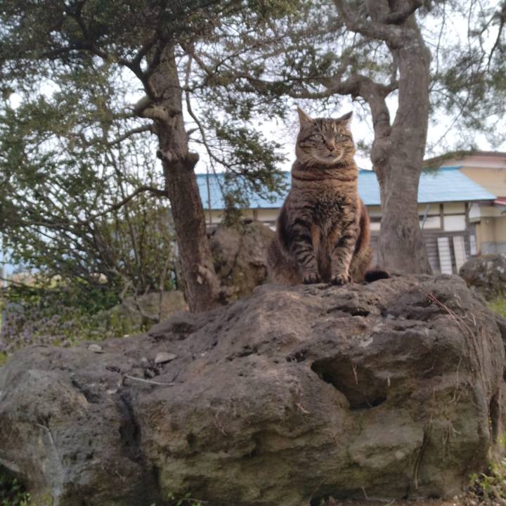 D0351a91 69e2 4c20 ae9c 306c9b6fa9f3 1712822491679