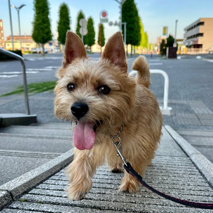 D03549e7 81c5 45d4 a6e0 5bb2bd7d9ec9 1753186703351