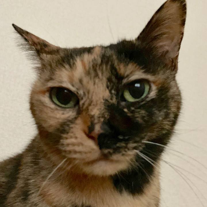 D03567b2 b645 47fa ad3d e11bc8654e40 1541082366752