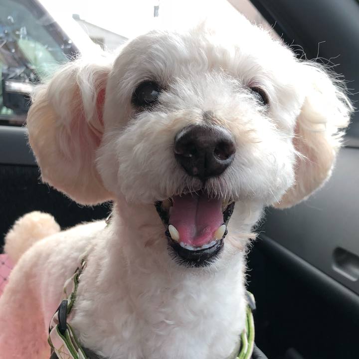 D0358a08 1da6 400f 9cd8 69dd588cb642 1531399763636