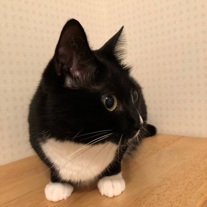 D035a2d7 7556 477f bf0b 5b618fa64571 1529963661021