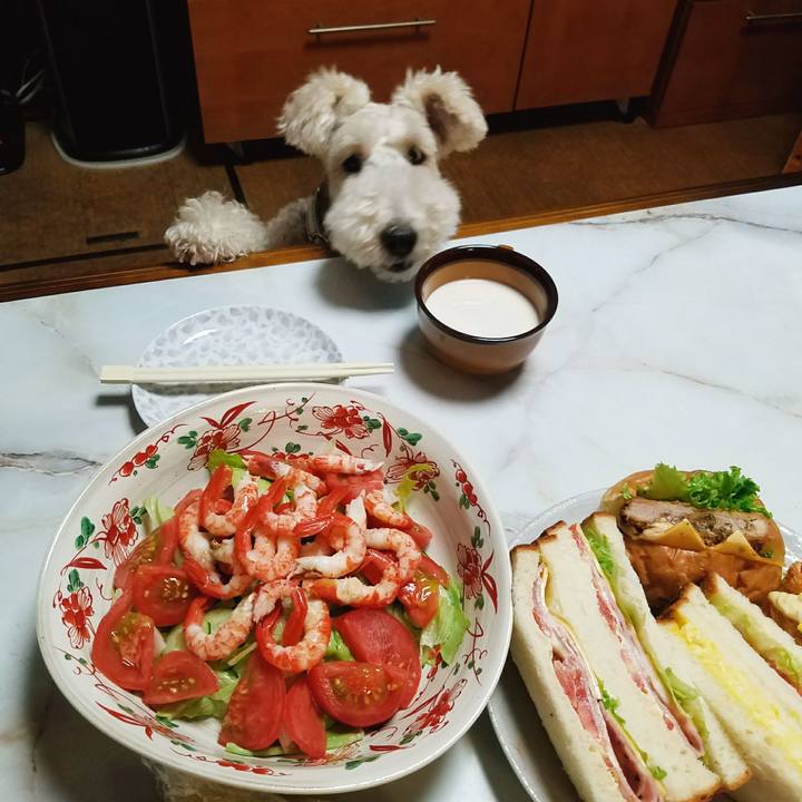 D035ba7b 177b 4e7b 85d7 9be89de03739 1530723552271