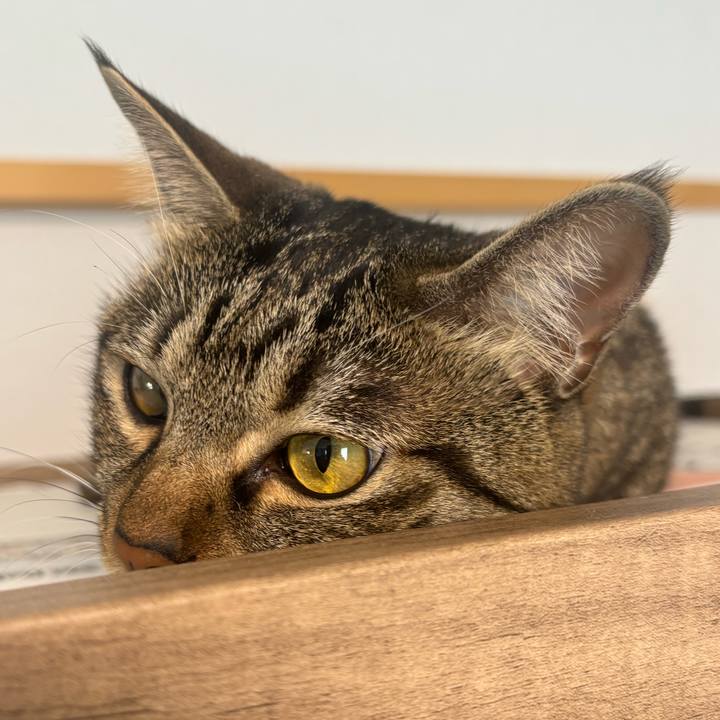 D035c0cb 59d4 40aa 9e04 bbef43a69d68 1756434966236