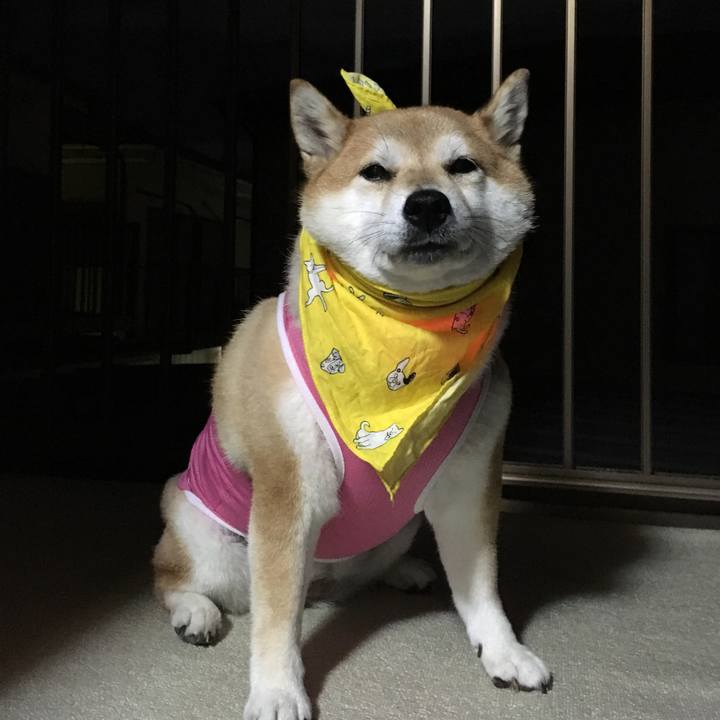 D035c851 43ff 4146 8a50 f63e51919d2e 1568378128640