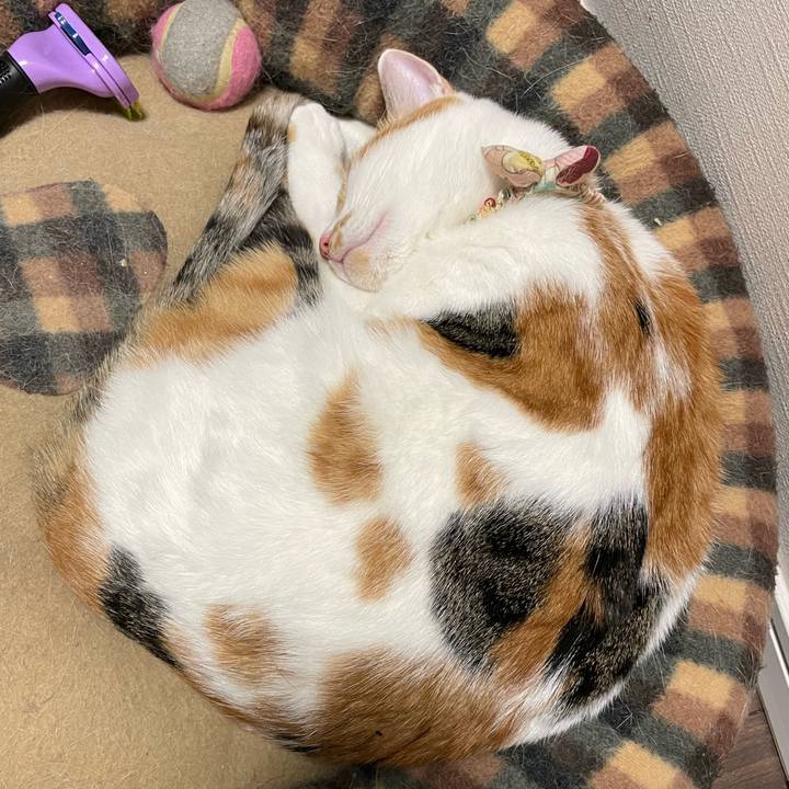 D035dc4f cf36 410b 9a44 8e73f0a585af 1636898837694