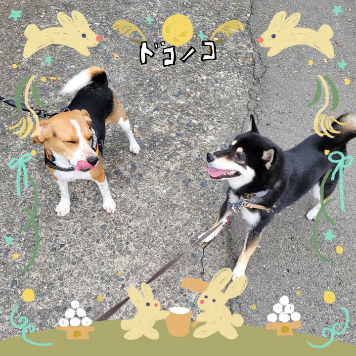D0360704 2e2b 4058 97a8 cca7105b5fba 1727227807990