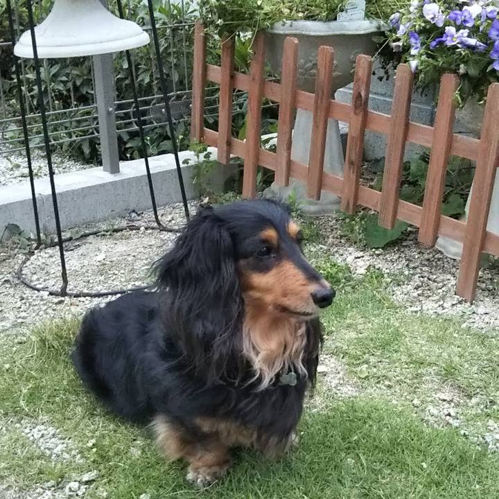 D0369812 5dca 4d1b 916f c75ba22c8608 1733217371105