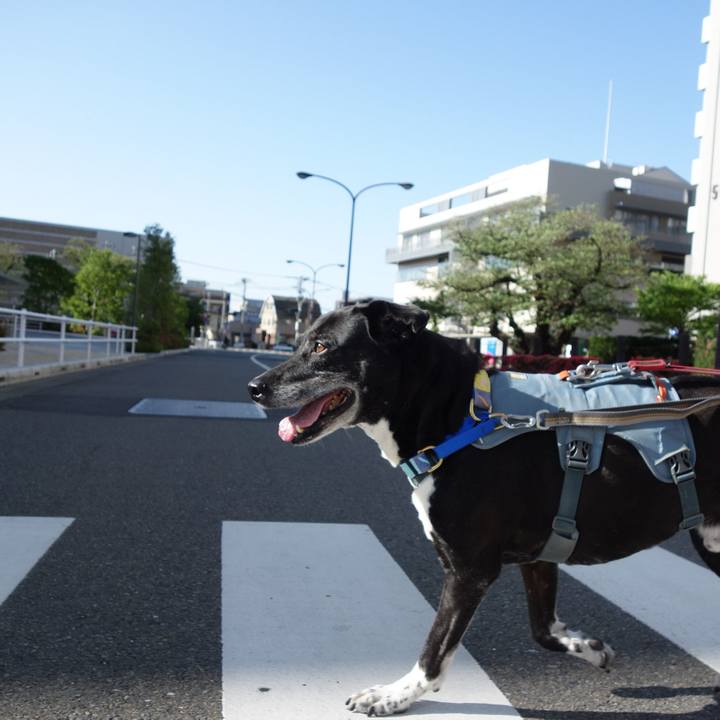 D036998d ddf9 4d06 8710 1f9c2c3ce98e 1745195129317