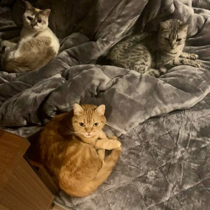 D036e5d9 1fab 4109 b236 58e83563c7a3 1669890834719