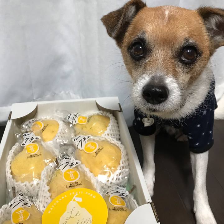 D036f366 aed8 401b a06c 0f2a98a58910 1543560963999