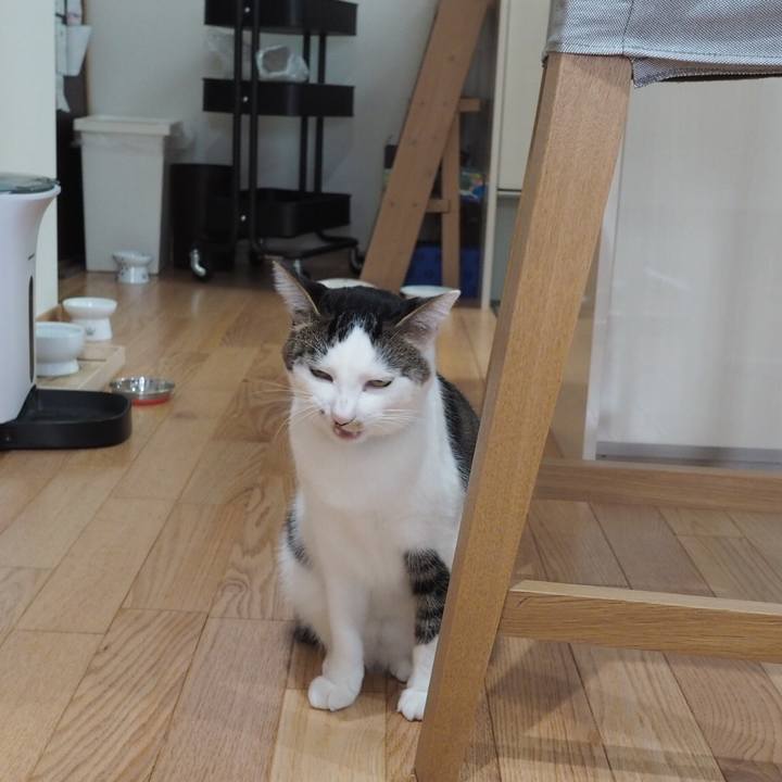 D036f48c 3a35 4758 9888 5a92bcf94c3a 1542598295838