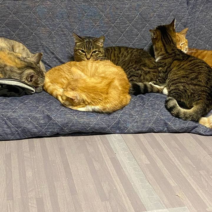 D0371309 f5f6 4c9b 9e68 26fd86624987 1616095062983