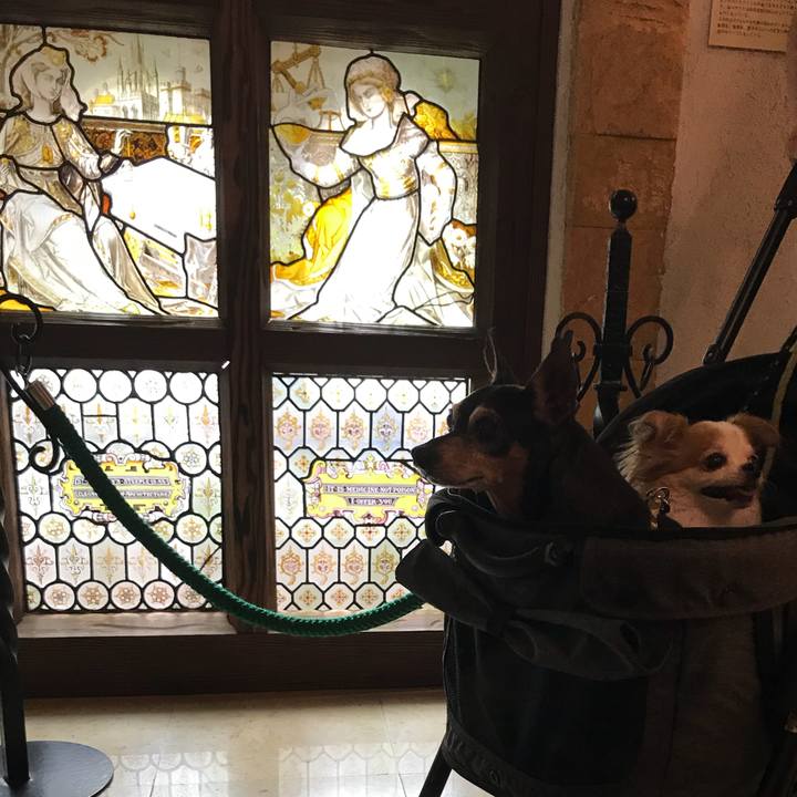 D03724b0 53b3 4eb6 a56e 4752cca97ba9 1567255961908