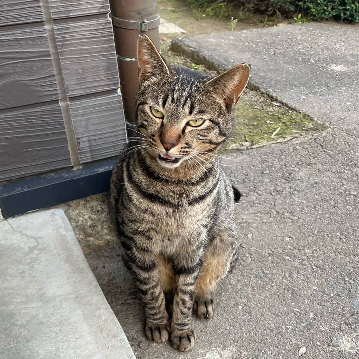 D0376481 2dc1 4f3d b79d 40ff20d9f4d4 1682945306457