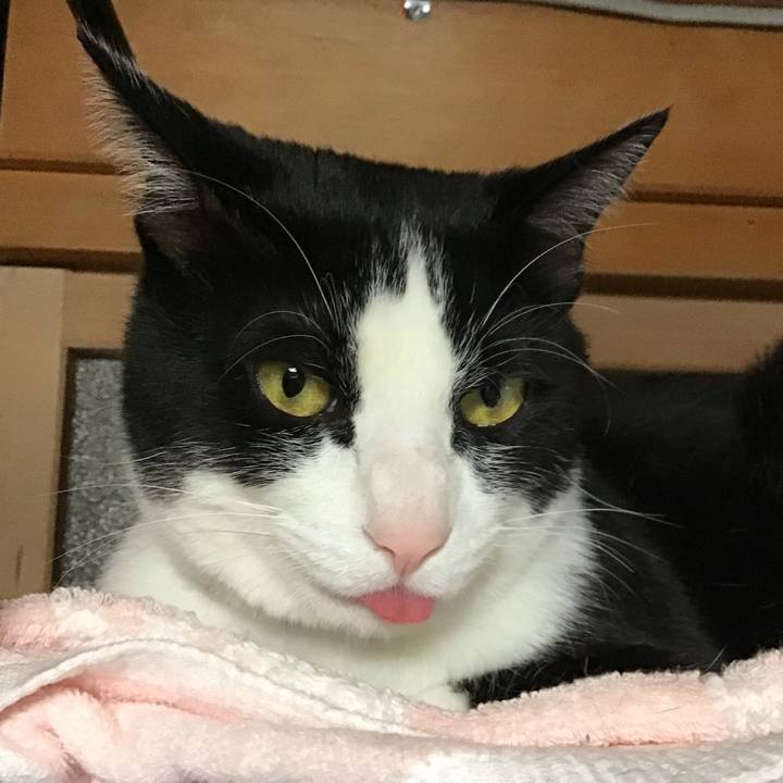 D03776d4 c5b3 40e4 af9a 431ab2048aa2 1682686143351