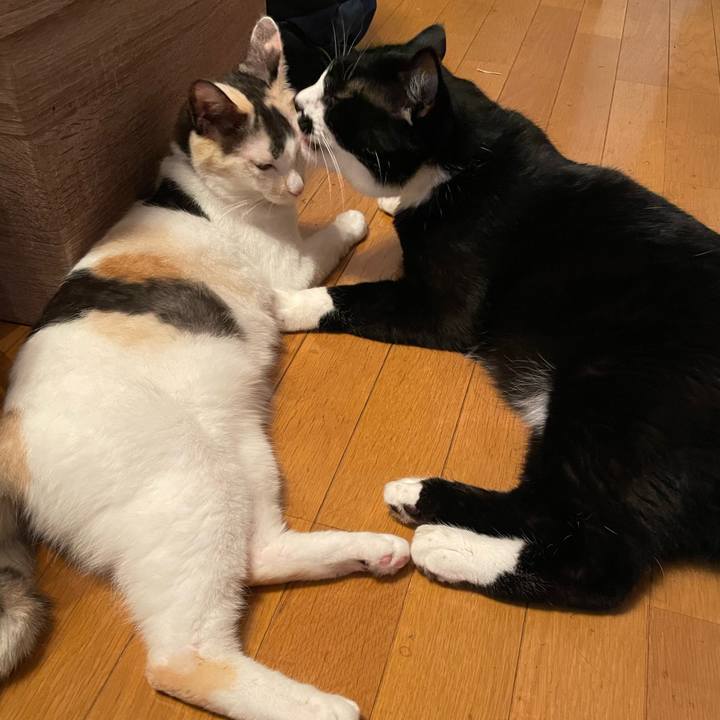 D0377bf4 d1fc 4e55 ab0e 0a641f18508d 1757559734055