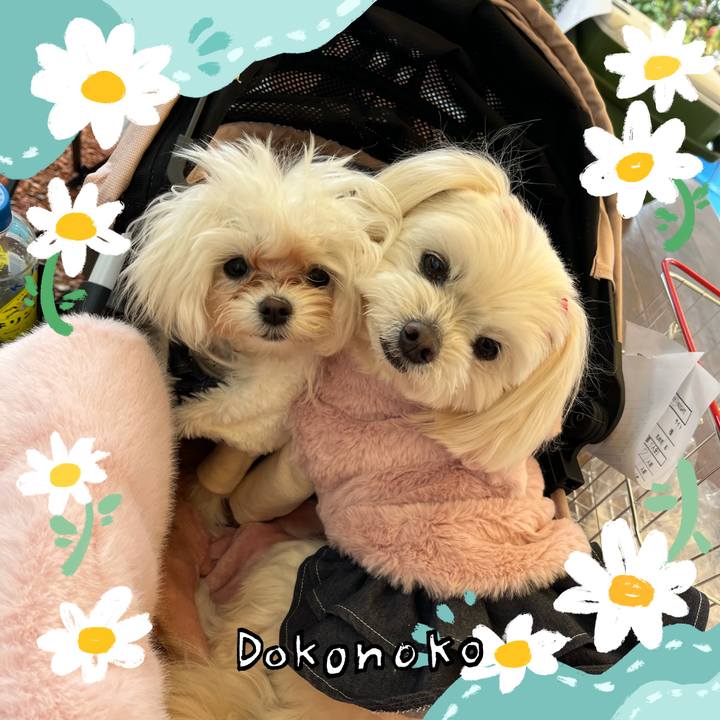 D0379bdf 8e52 425a b34d 0d5f4f6b59d9 1712547522211