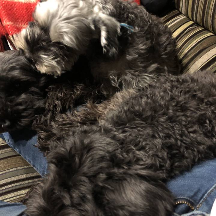 D037cef5 b55b 4144 ac10 61a635e26b98 1579084511667