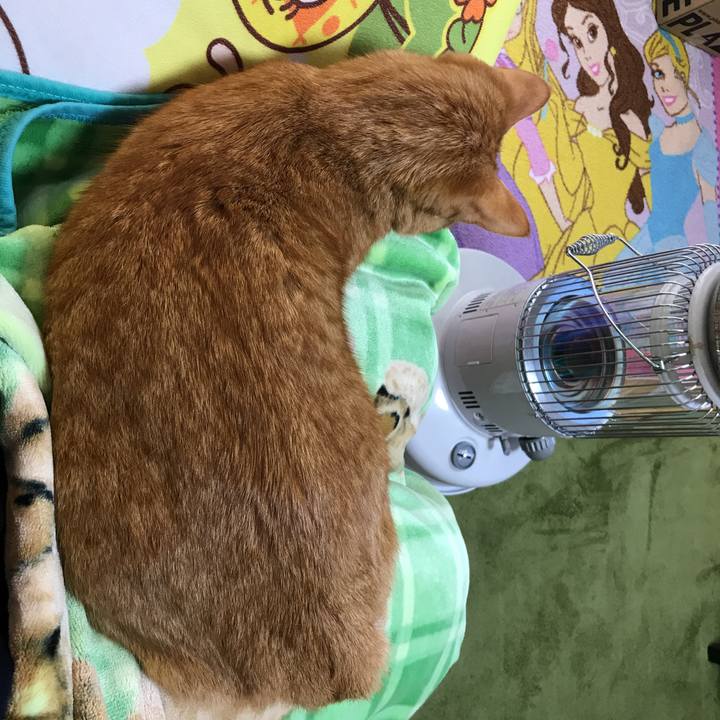 D037e7e1 d96a 4f44 be21 01009817de5c 1519344320483