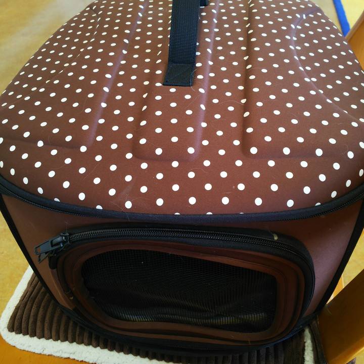 D037f5aa 3012 4d73 a375 58296f015f7a 1520054204220