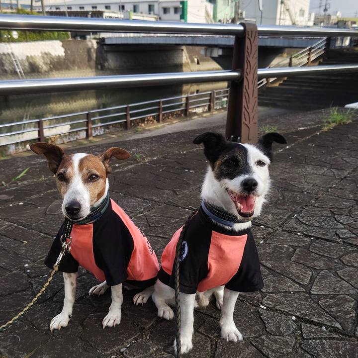 D037fdfe 960d 404f a0ec 282de9b64f0b 1755380480448