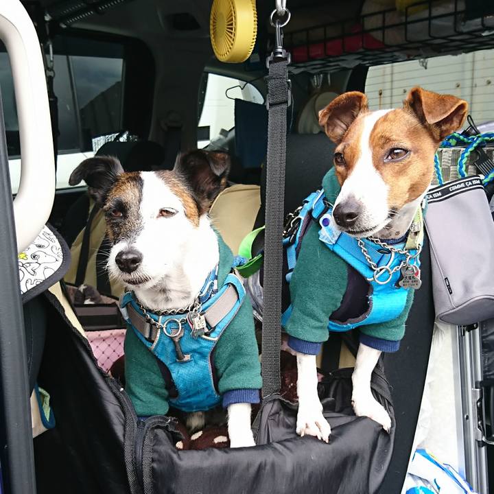 D0382e8e 93e6 4f09 89f7 b4992b9c5a10 1606443260839