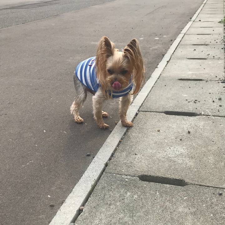 D03839c3 331c 4054 9296 c98b45491103 1622453753256