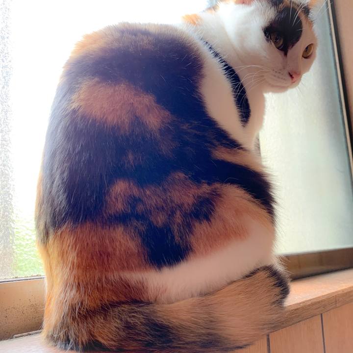 D03872c6 1934 49e2 b908 16aa042c3cd6 1561337572485