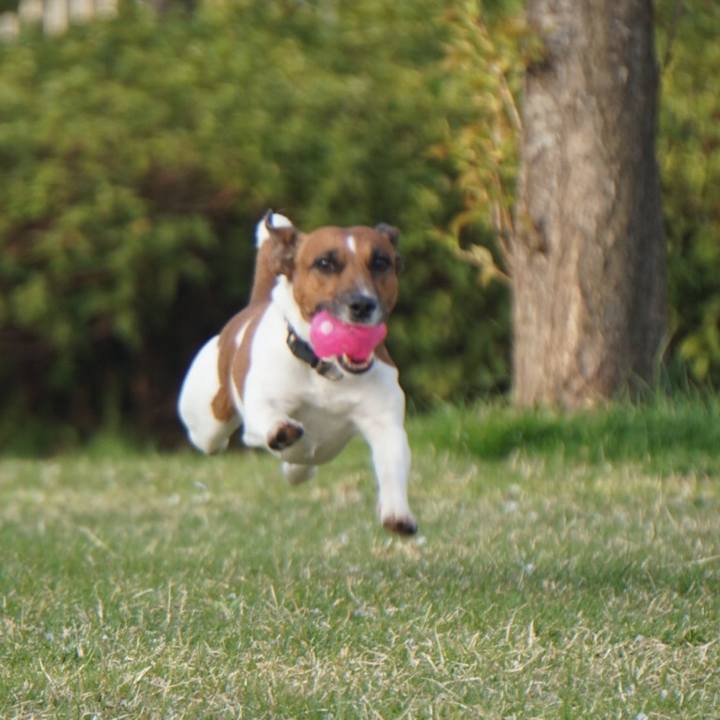 D03878ec 7274 4e38 aaf5 9edcc1ca9f76 1522794965910