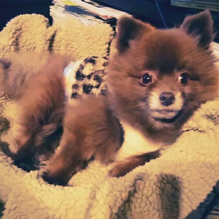 D03884dd b753 4abb 8f58 053c2f63efa9 1514772416031