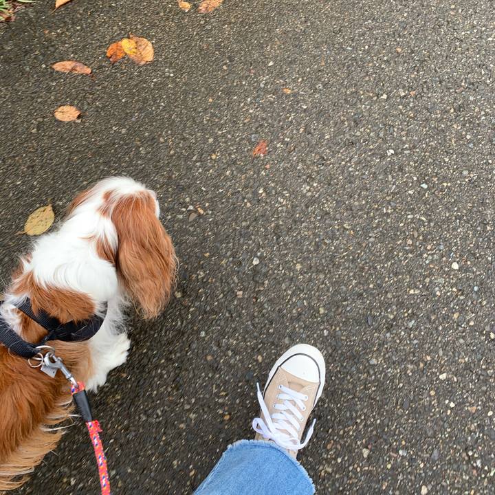 D038d93e 9f5e 4d2c a51f e05c4cd7d144 1601091022434