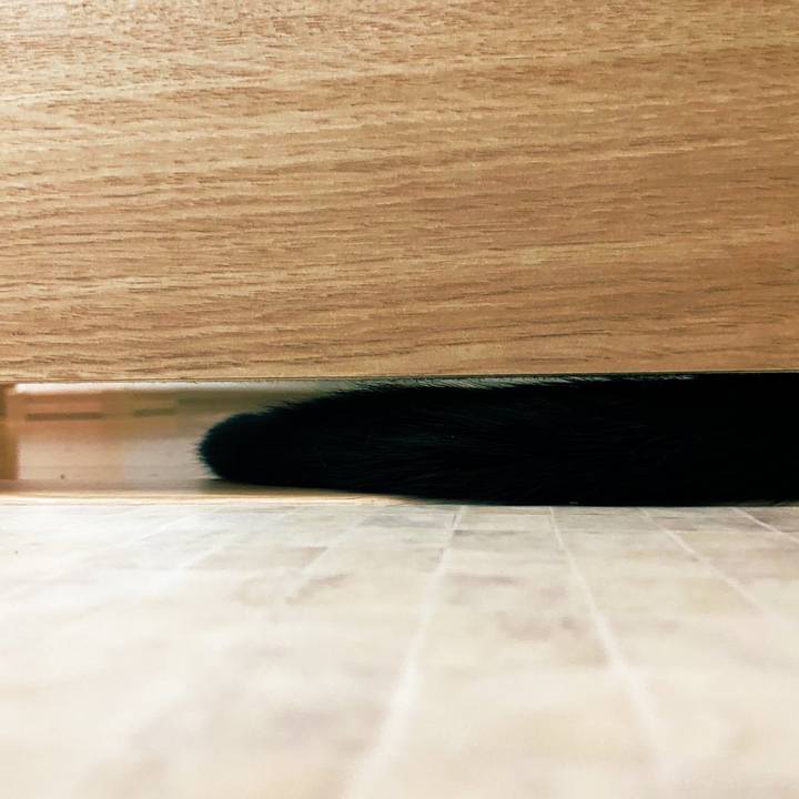 D038d958 5e36 4aff 9a03 e45da8869a74 1595286223495