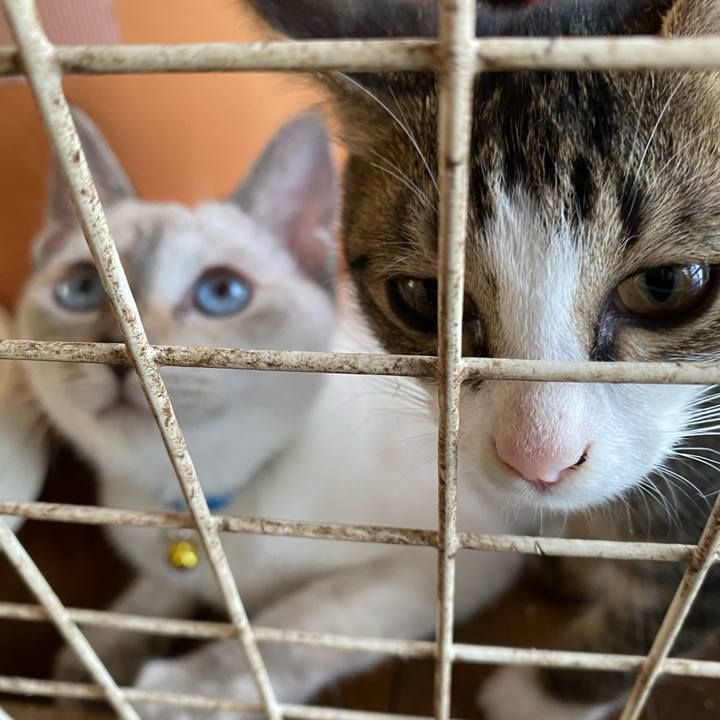 D0395aa9 efd0 4ead 854b e29c3fd5eec1 1634085868271