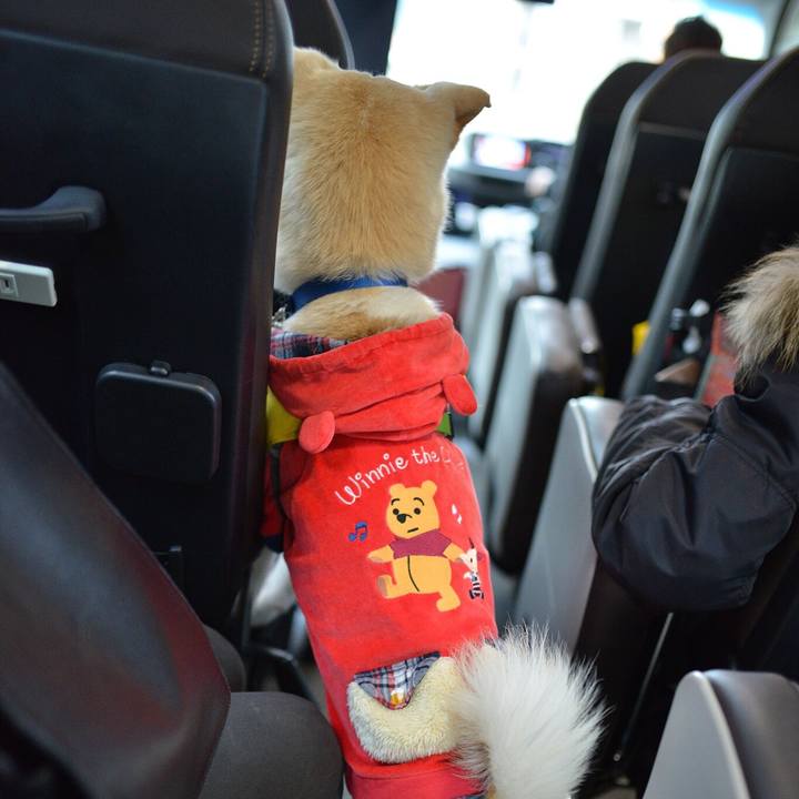 D039ae68 2f5c 4392 b41d 3364c9ba8ada 1549727794082