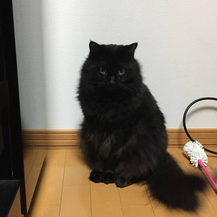 D039cb65 38a0 4d35 9bd6 ab4add9bb4f0 1541771916321