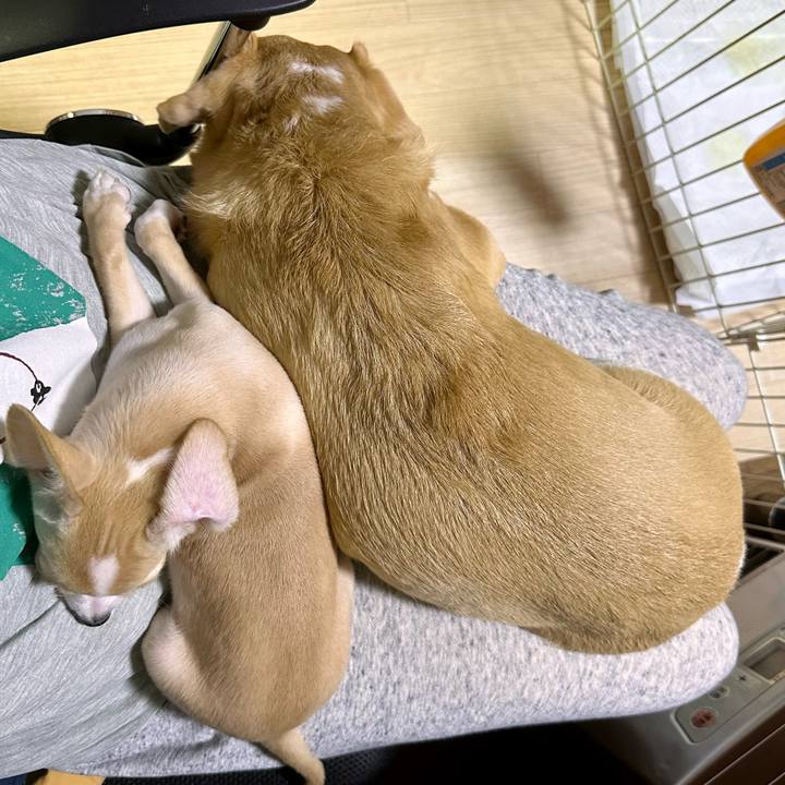 D039d0ac 6512 491f b8c8 9158f2e80ff7 1664962569438