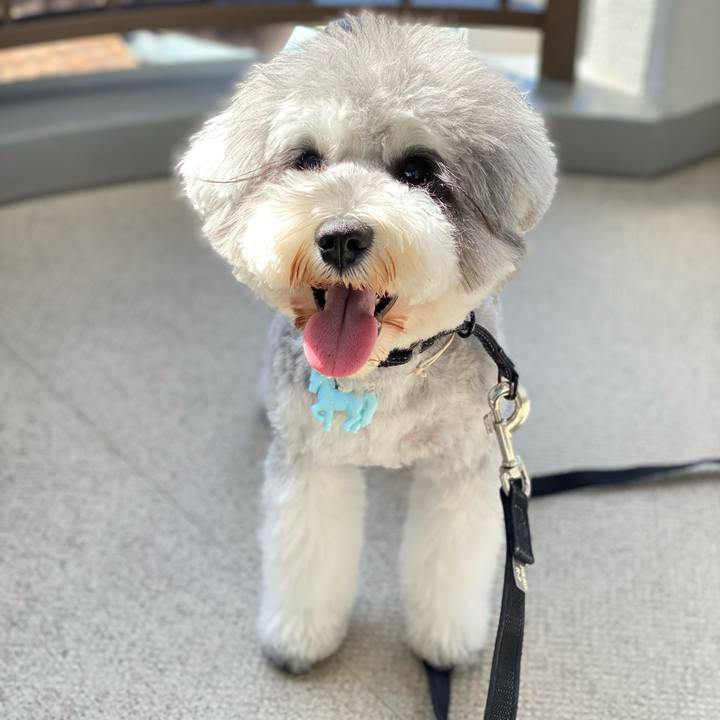 D039efd2 0684 49e7 a4f0 c0320932df45 1618034502557