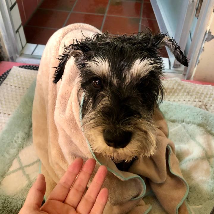 D03a0dab f4b7 41d6 9428 856bd5323f88 1657933335482