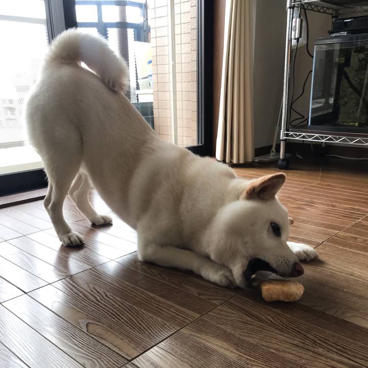 D03a1b8d 8e5e 4765 927f e9bd847940a3 1552199395137